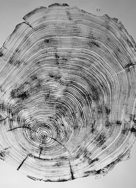 San Francisco, Real Redwood Art, 36x48 Inches. Original Signed artwork made from Real Redwood
