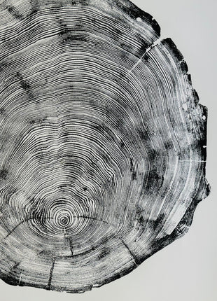 San Francisco, Real Redwood Art, 36x48 Inches. Original Signed artwork made from Real Redwood