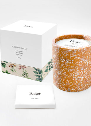 Terracotta Plantable Soy Wax Candle