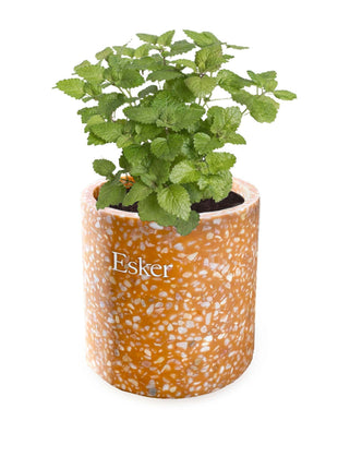 Terracotta Plantable Soy Wax Candle