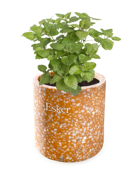 Terracotta Plantable Soy Wax Candle