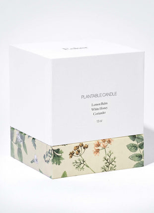 Terracotta Plantable Soy Wax Candle